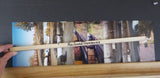 Photo Reading Railroad Lot of 59 Color / Black & white  1985-1998