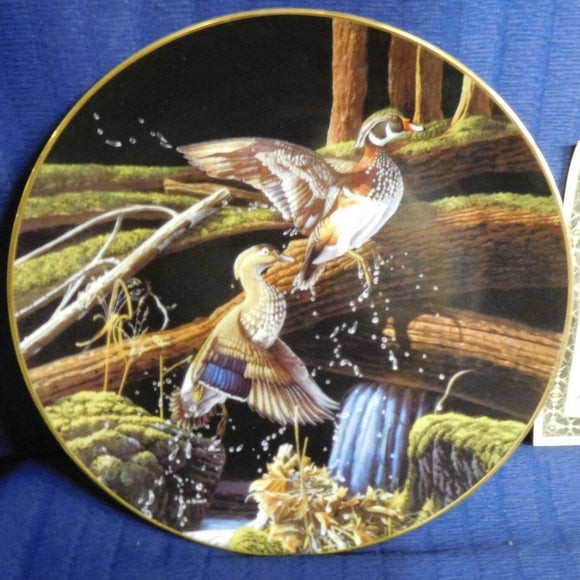 Plate Free as the Wind Skyward by M. Budden