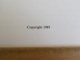 Best Of Maine Railroads By Ron Johnson       Soft Cover