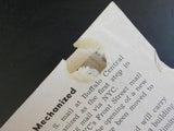 New York Central Headlight Employee Magazine 1954 November Some damage