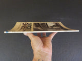 Model Railroader’s Guide to Logging Railroads by Matt Coleman  Soft Cover