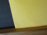 Friendly SOO by Leslie Suprey An Album of photographs of the SOO Line RR