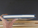 Professional Approach to Model Railways by John Wylie