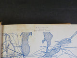 Boll Weevil Recollections of the Trinity & Brazos Valley Railway by J.L. Allhand
