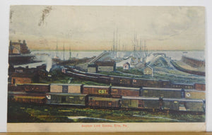 Postcard Anchor Line Docks Erie PA Postmarked 1908