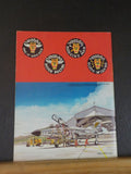 Modern military aircraft Voodoo by Lou Drendel & Paul Stevens  Soft Cover