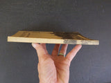 Golden Spike A Centennial Remembrance American Geographical Society SC