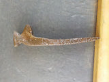 Railroad Spike Lot 3-Spikes + 1 Date Nail 32 Used