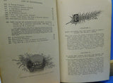 Platform Echoes or Living Truths for Head and Heart By John Gough 1888