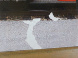 Progressive Railroading 2009 August Mitigating circumstances CN Passenger Rail