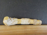 Railroad Spike Sacramento Northern Used