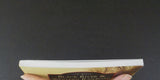 Images of Rail Black River & Western Railroad by Jerry Jagger Soft Cover