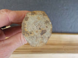 Railroad Spike NWP RR Willits Ca Used Northwestern Pacific
