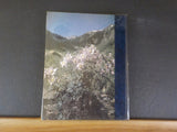 Many More Mountains Vol 1 : Silverton’s Roots by Allen Nossaman       Hard cover