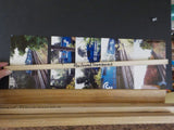 Photo Reading Railroad Lot of 59 Color / Black & white  1985-1998