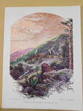 Print Lot of 3 Edraydo Color Prints by Donald E Cooke 1961