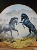 Plate Unbridled Spirit collection Desert Duel Plate #0197A COA Horses   P0117