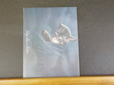 Chessie The Railroad Kitten by Thomas Dixon Jr    Soft Cover