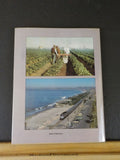 Rails through the Orange Groves Vol 2 by Stephen Donaldson & William Myers w/DJ