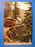 Postcard Trestle Bridge Crookedest Railway on Earth Mt. Tamalpais