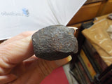Railroad Spike LVT Co NR Beam Pike? Used Lehigh Valley Transit