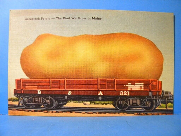 Postcard Aroostook Potato The Kind We Grow in Maine B&A 321