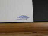 Baltimore & Ohio Facilities in color Volume 1 Eastern region By Withers   SIGNED