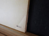 Echoes of Como 1879 to 1988 by Mary Dyer       Soft Cover