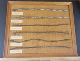 Antique Barbed wire Framed Display 6 different wire in wooden frame