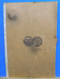 ICS Freight Rates in Trunk Line Territory #5407 Edition 1 by Wilson 1940  Intern