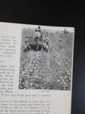 New Jersey The Garden State Facts About NJ & Its Agricultural Industry 1935