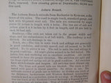 Board of Railroad Commissioners of the State Of New York 1898 Volume 1