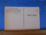 Postcard Bicentennial Lineup 8 locomotives Belt Ry 1975 photo