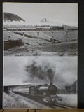 N.E.L.P.G. News #140 1990 December No.140 North Eastern Locomotive Preservation