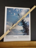 Southern Pacific Bulletin 1978 June Employee magazine