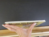 How to build Dioramas by Sheperd Paine Complette How to Guide    Soft Cover