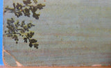 Postcard C&NW Railway Bridge over Fox River Green Bay WI Postmarked 1914