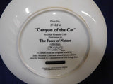 Plate The Faces of Nature Canyon of the Cat by Julie Kramer Cole p0029