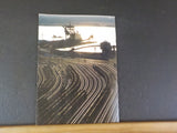 Norfolk and Western Railway Company Annual Report 1981 w statistical supplement