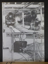 N.E.L.P.G. News #164 1994 December No.164 North Eastern Locomotive Preservation