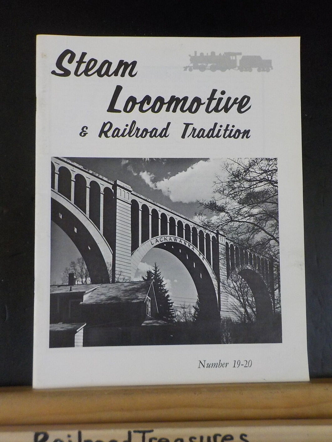 Steam Locomotive & Railroad Tradition #19-20 Great White bridge by William Young