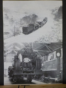 N.E.L.P.G. News #134 1989 December No.134 North Eastern Locomotive Preservation
