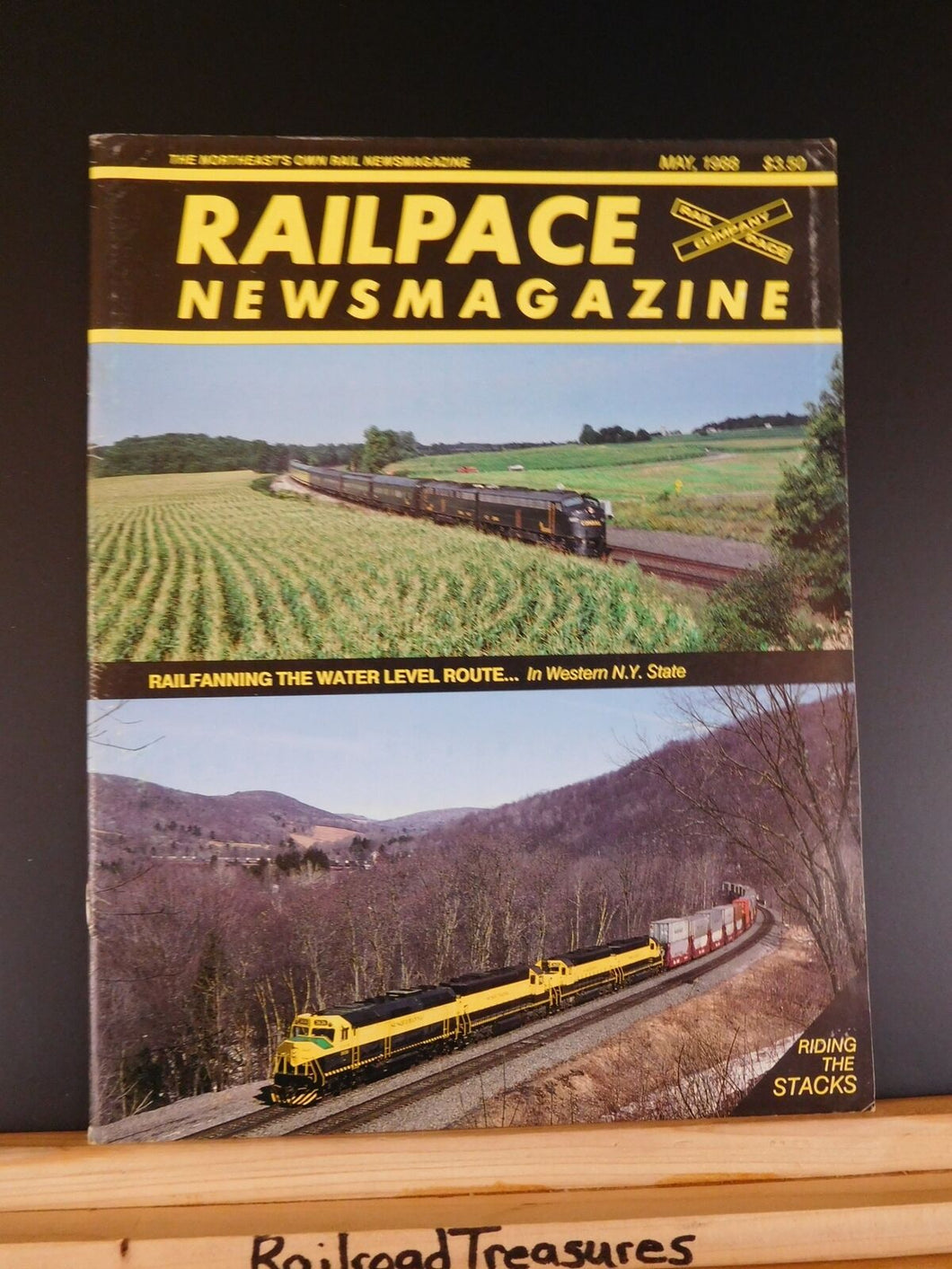 Rail Pace News Magazine 1988 May Railpace Riding the stacks Water Level route LI