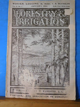 Forestry and Irrigation 1904 January Winter Logging Yale Forest School Alaskan F