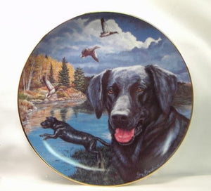 Town and Country Dog Series - The Retrieval  by Sy Barlow p0104 Retriever Geese