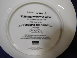 Touching the Spirit Running with the Wind by Julie Kramer Cole